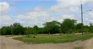 Wilson Park Campgrounds
